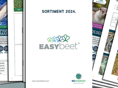 Sesvanderhave SERBIA sugar beet seed varieties sortiment 2024